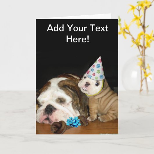 Engelse Bulldog Birthday Kaart (Gele Bloem)