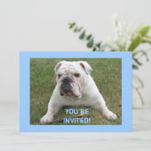 Engelse Bulldog Birthday-uitnodigingen Kaart (Staand voorkant)