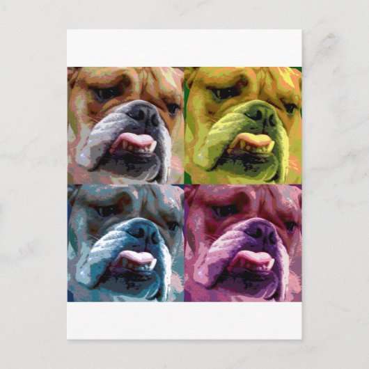 Engelse bulldog briefkaart (Voorkant)