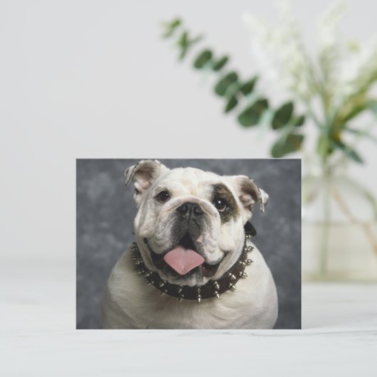 Engelse Bulldog Briefkaart (Staand voorkant)