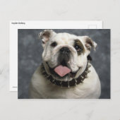 Engelse Bulldog Briefkaart (Voorkant / Achterkant)