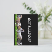 Engelse Bulldog Briefkaart (Staand voorkant)