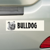 Engelse Bulldog Bumpersticker (Op auto)