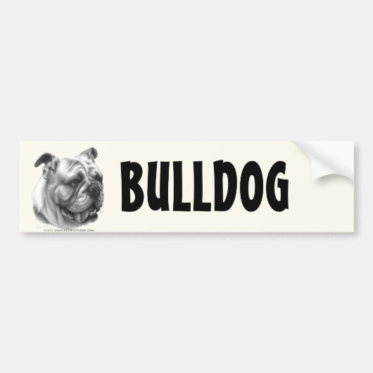 Engelse Bulldog Bumpersticker (Voorkant)