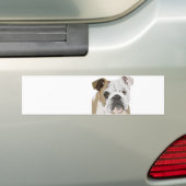 Engelse Bulldog Bumpersticker (Op auto)