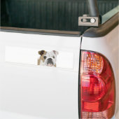 Engelse Bulldog Bumpersticker (Op Truck)