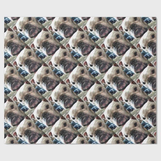 Engelse Bulldog Cadeaupapier (Vlak)