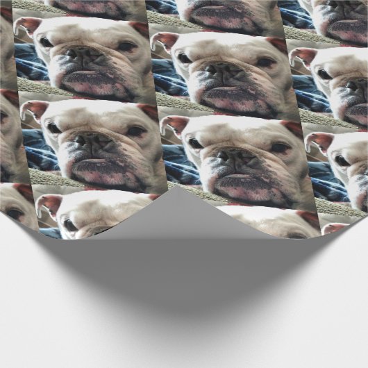 Engelse Bulldog Cadeaupapier (Hoek)