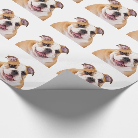 Engelse Bulldog Cadeaupapier (Hoek)
