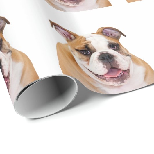 Engelse Bulldog Cadeaupapier (Rol Hoek)