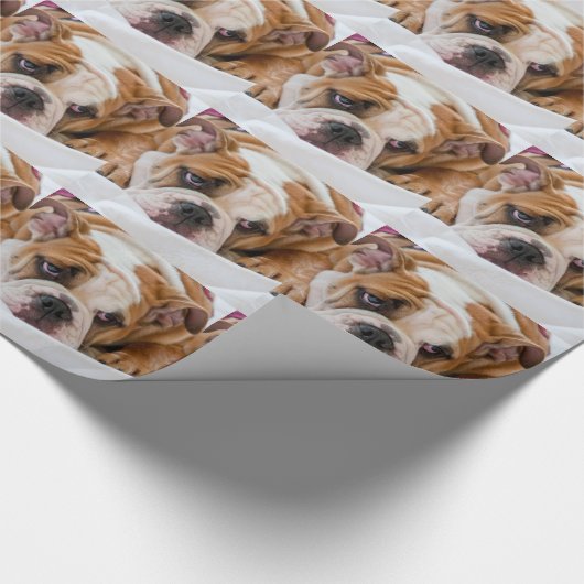 Engelse Bulldog Cadeaupapier (Hoek)