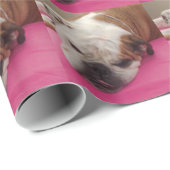 Engelse Bulldog Cadeaupapier (Rol Hoek)