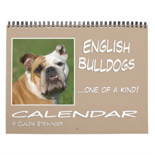 Engelse bulldog Calendar 2011 Kalender