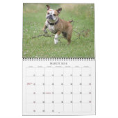 Engelse bulldog Calendar 2011 Kalender (Mar 2026)