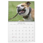 Engelse bulldog Calendar 2011 Kalender (Jan 2026)