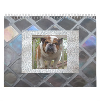 Engelse Bulldog Calendar Kalender