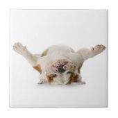 Engelse Bulldog Ceramic Tile Tegeltje (Voorkant)