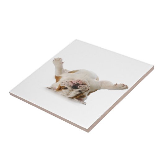 Engelse Bulldog Ceramic Tile Tegeltje (Zijkant)
