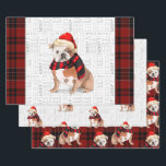 Engelse Bulldog Christmas Dog en Plaid Inpakpapier Vel<br><div class="desc">Deze schattige Engelse Bulldog is klaar voor het vakantieseizoen een rode en zwarte sjaal en Santa pet,  waardoor deze hond een echte fashionista is. Deze schattige kersthond is gecombineerd met een geruite print in diep rood en zwart op deze set cadeauverpakking voor het hondenliefhebber.</div>