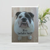 Engelse Bulldog Cool Bachelor Party uitnodigingen (Staand voorkant)