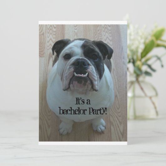 Engelse Bulldog Cool Bachelor Party uitnodigingen (Staand voorkant)