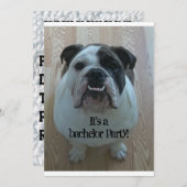 Engelse Bulldog Cool Bachelor Party uitnodigingen (Voorkant / Achterkant)
