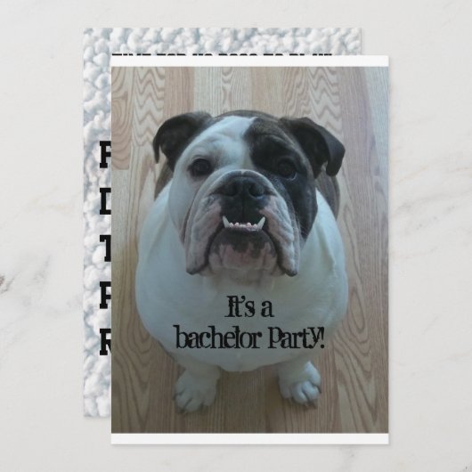 Engelse Bulldog Cool Bachelor Party uitnodigingen (Voorkant / Achterkant)