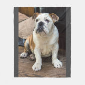 Engelse bulldog deken (Voorkant)