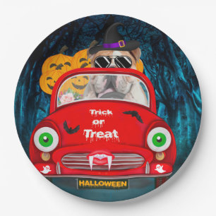 Engelse Bulldog Driving Car Scary Halloween Papieren Bordje