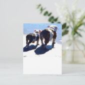 Engelse Bulldog en Puppy Briefkaart (Staand voorkant)