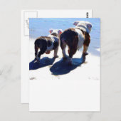 Engelse Bulldog en Puppy Briefkaart (Voorkant / Achterkant)