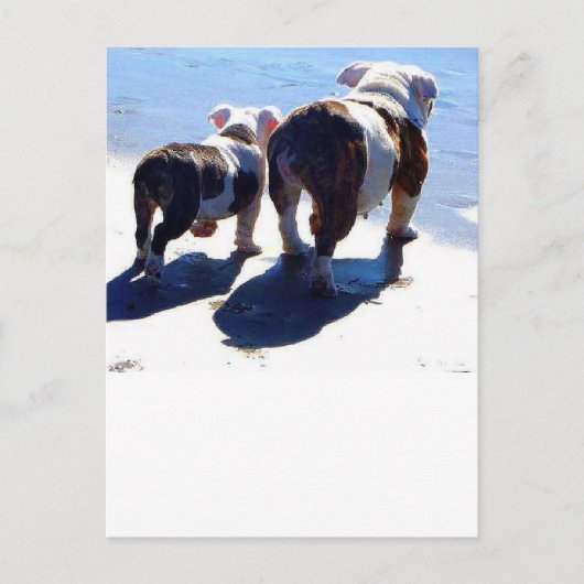 Engelse Bulldog en Puppy Briefkaart (Voorkant)