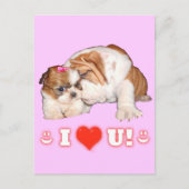 Engelse Bulldog en Shih Tzu Ik hou van jullie kaar Briefkaart (Voorkant)