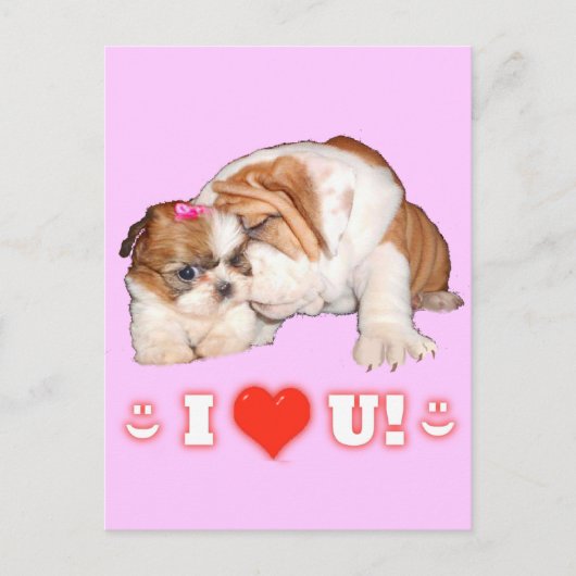 Engelse Bulldog en Shih Tzu Ik hou van jullie kaar Briefkaart (Voorkant)