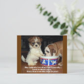 Engelse Bulldog en Shih Tzu Puppy Briefkaart (Staand voorkant)