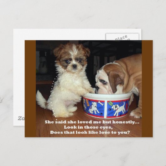 Engelse Bulldog en Shih Tzu Puppy Briefkaart (Voorkant / Achterkant)