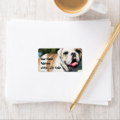 Engelse bulldog etiket (Insitu)