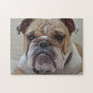 Engelse Bulldog Face Legpuzzel