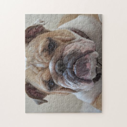 Engelse Bulldog Face Legpuzzel (Verticaal)