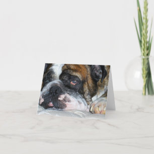 Engelse bulldog foltering note card kaart