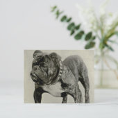  Engelse Bulldog-foto Briefkaart (Staand voorkant)