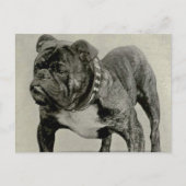  Engelse Bulldog-foto Briefkaart (Voorkant)