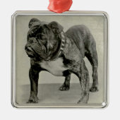  Engelse Bulldog-foto Metalen Ornament (Voorkant)