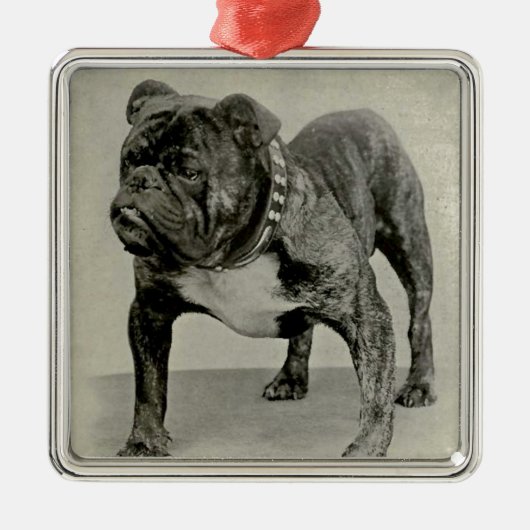  Engelse Bulldog-foto Metalen Ornament (Voorkant)