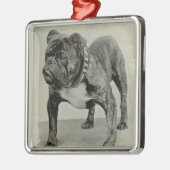  Engelse Bulldog-foto Metalen Ornament (Links)
