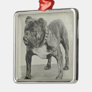 Engelse Bulldog-foto Metalen Ornament