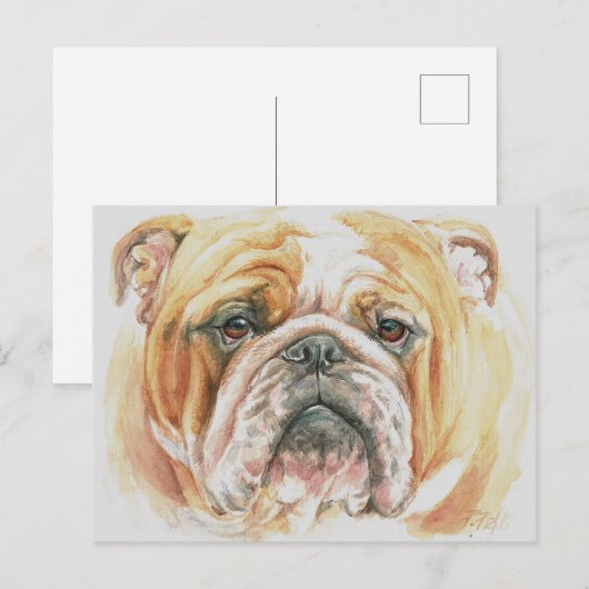 Engelse Bulldog Gezicht Waterverf schilderij Briefkaart (Voorkant / Achterkant)