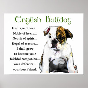 Engelse bulldog Gifts Poster
