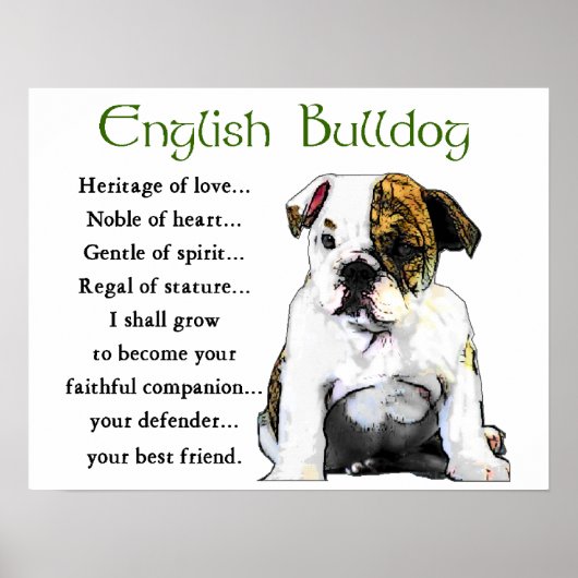 Engelse bulldog Gifts Poster (Voorkant)