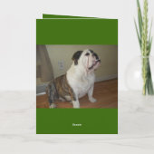 Engelse Bulldog Happy St. Patrick's Day kaart! Kaart (Achterkant)